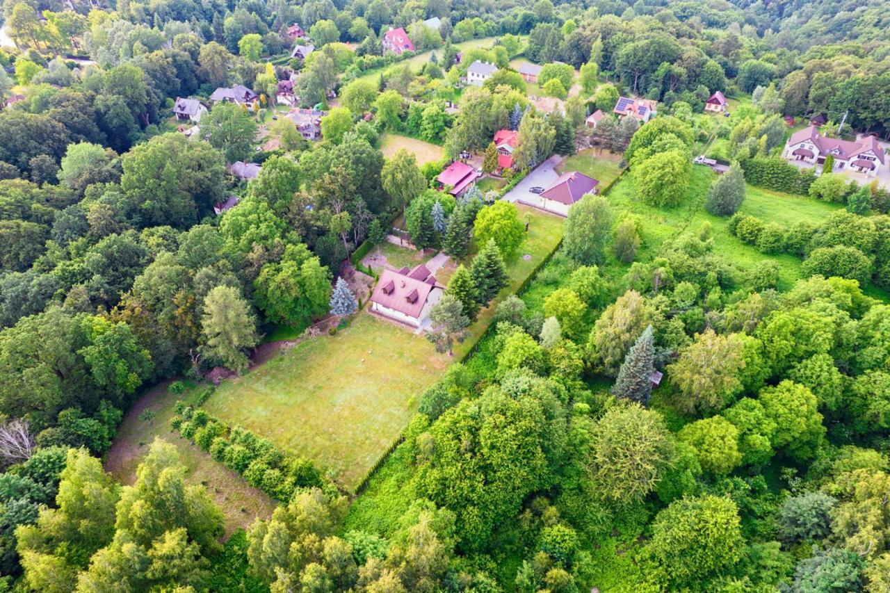 Zielen I Przestrzen Apartment
