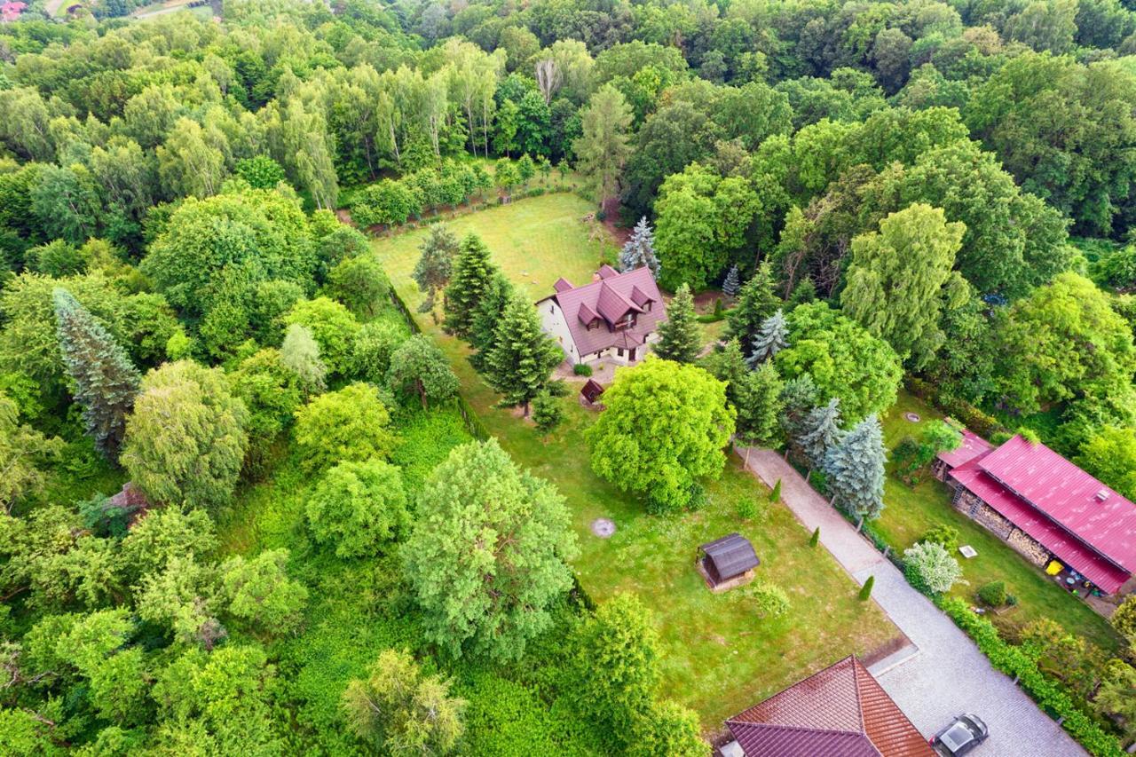 Apartment Zielen I Przestrzen Kazimierz Dolny