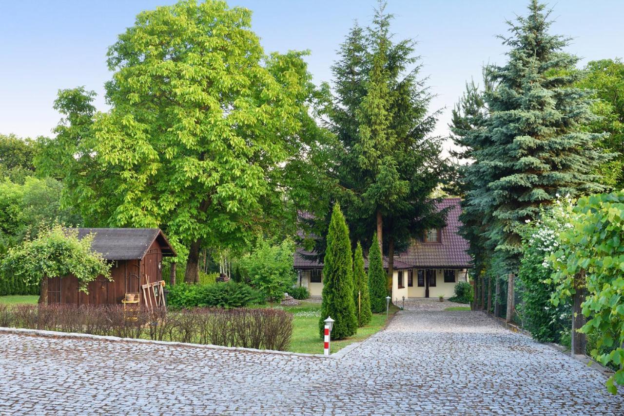 Zielen I Przestrzen * Kazimierz Dolny